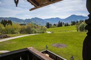 Panoramic Double Room, 2 Single Beds, Balcony, Mountain View