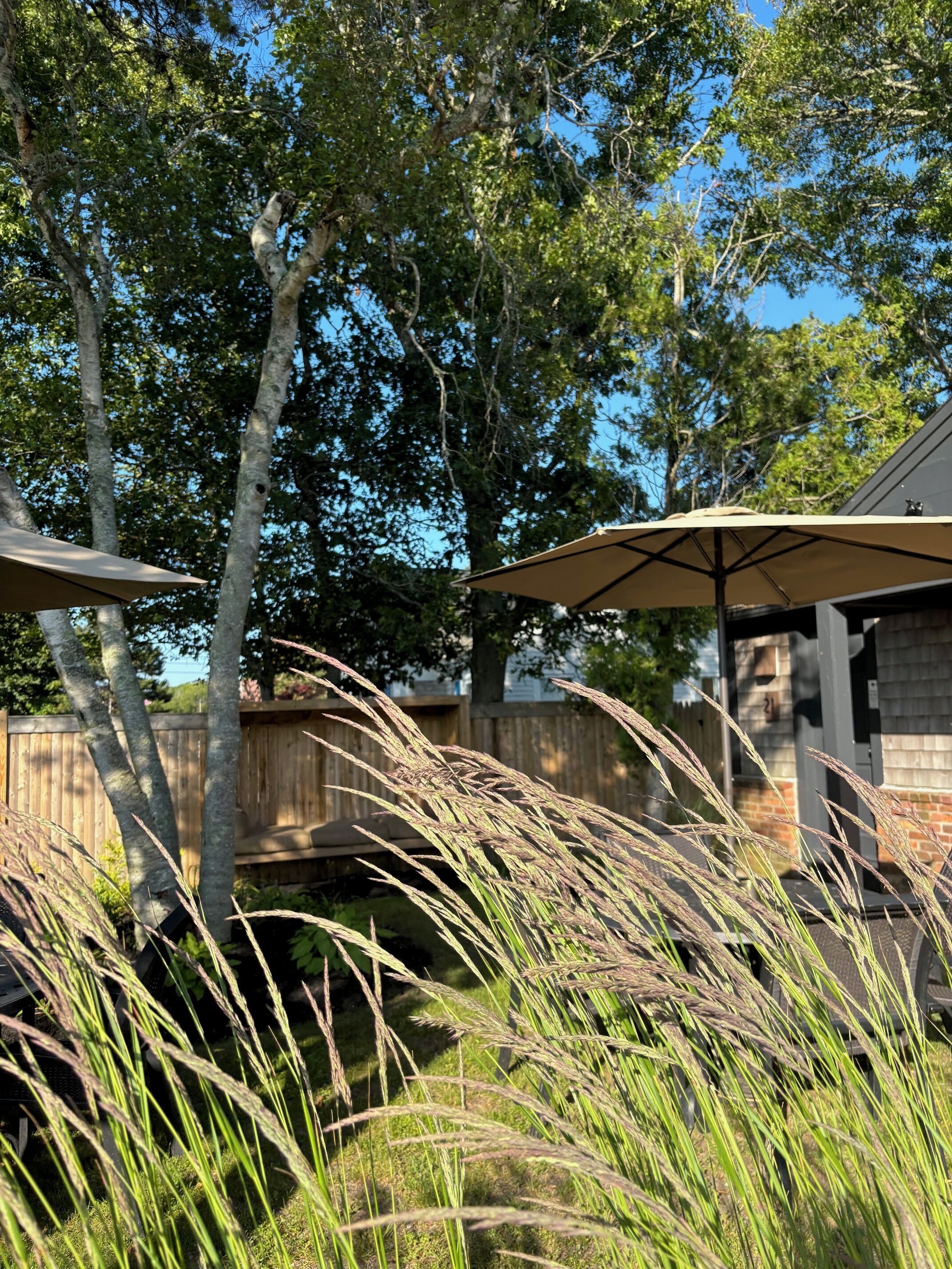 A backyard with tall grasses, a wooden fence, and a covered patio area.