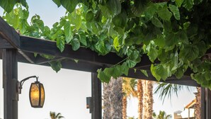 Een buitenterras met tafels en stoelen, omringd door groen en palmstruiken.