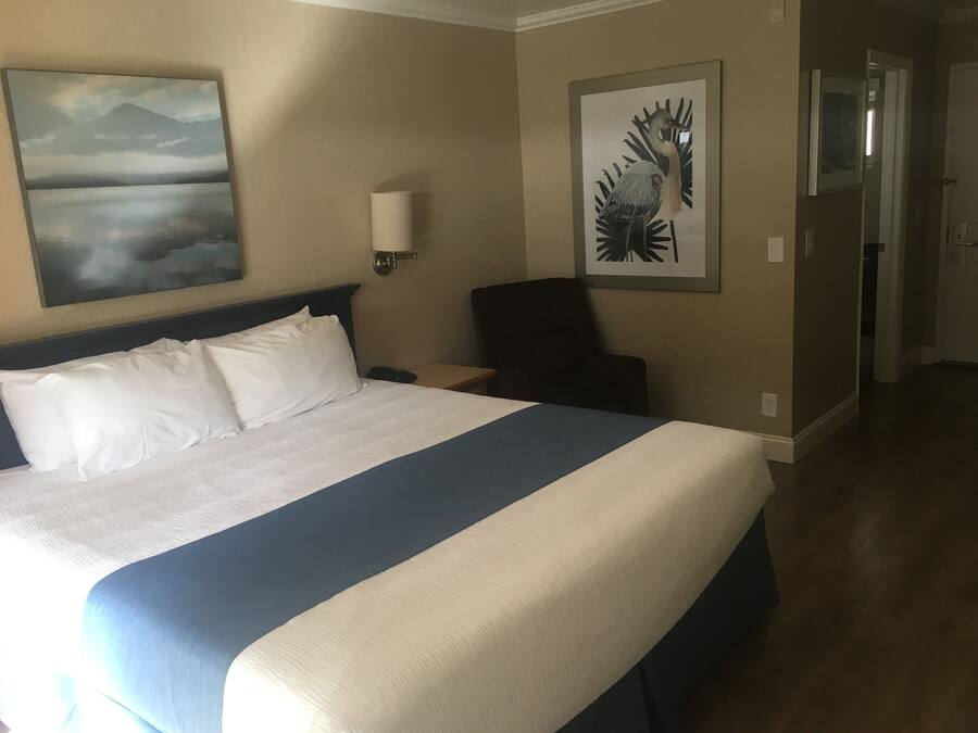 A hotel room with a large bed, a nightstand, a chair, and artwork on the walls.