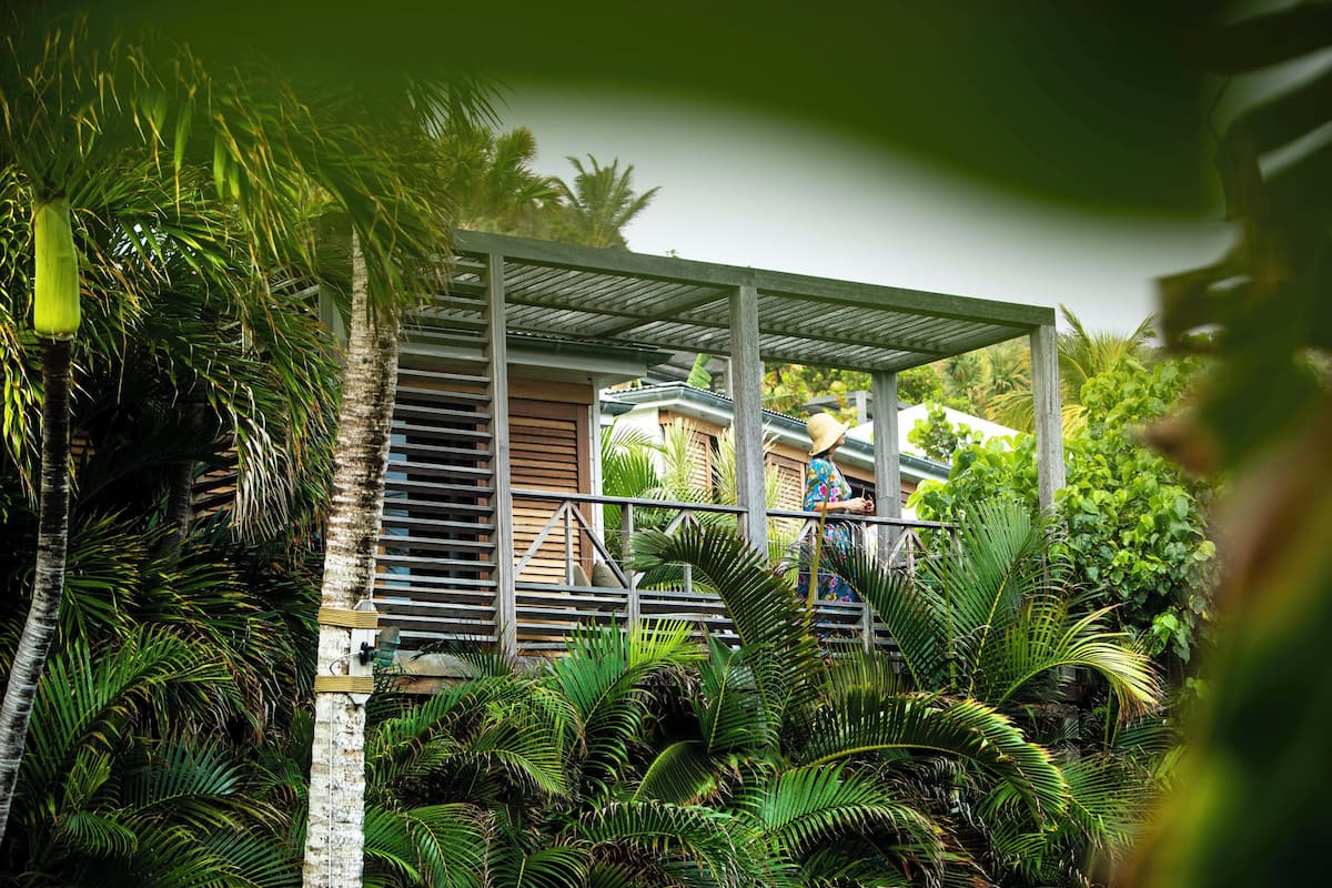 Une maison moderne dotée d’un porche abrité, entourée d’une végétation tropicale luxuriante.