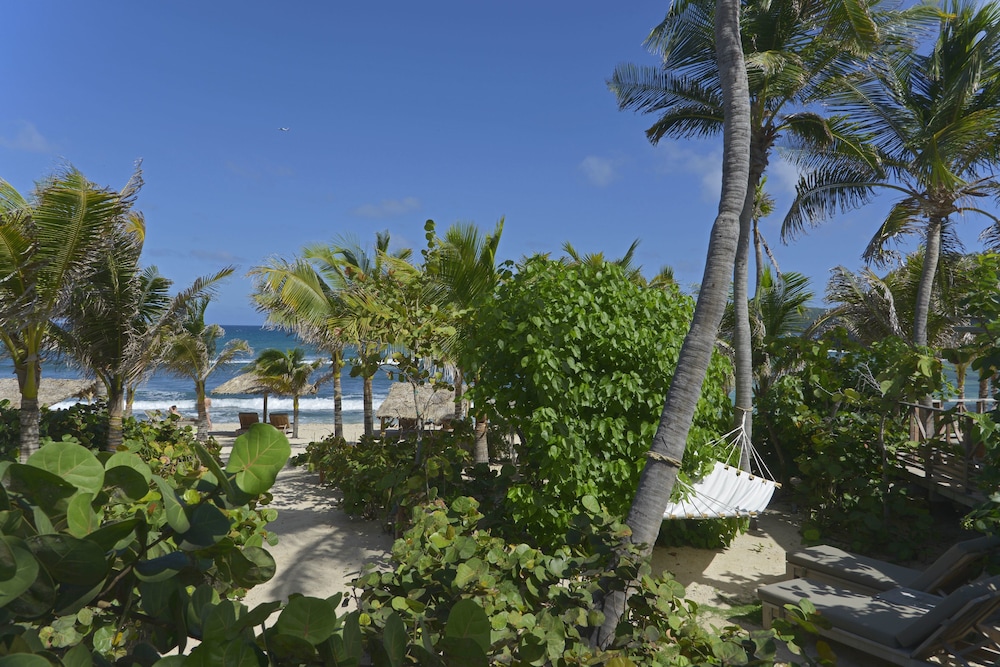 Hotel Manapany by null