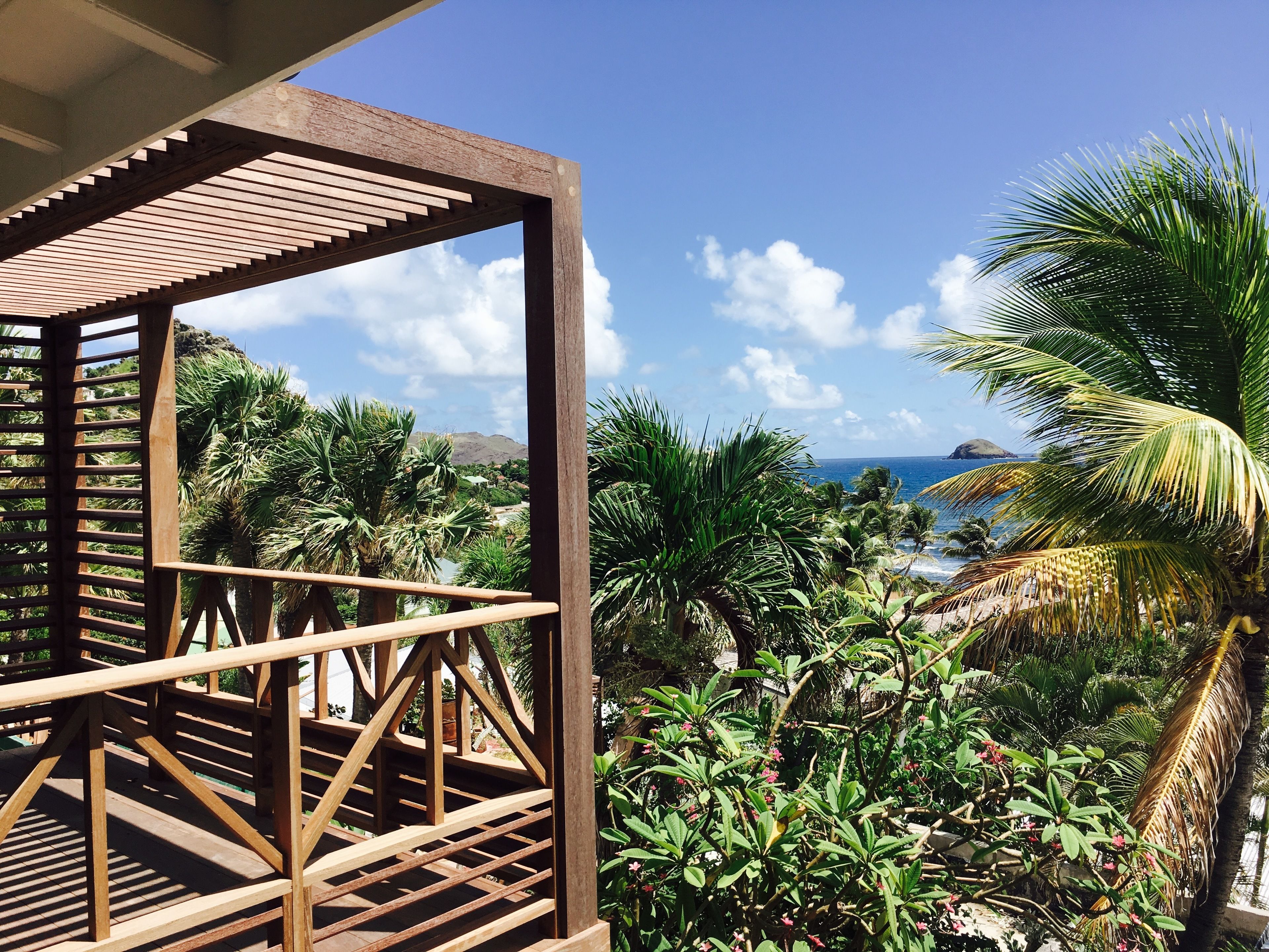 Un pontile in legno con vista su un paesaggio tropicale, con palme e un corpo d'acqua.