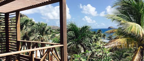Una terraza de madera con vista a un paisaje tropical, que incluye palmeras y una masa de agua.