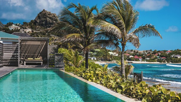 A poolside view with a clear blue ocean, palm trees, and a mountainous backdrop. - Hotel Manapany (St. Barthelemy)
