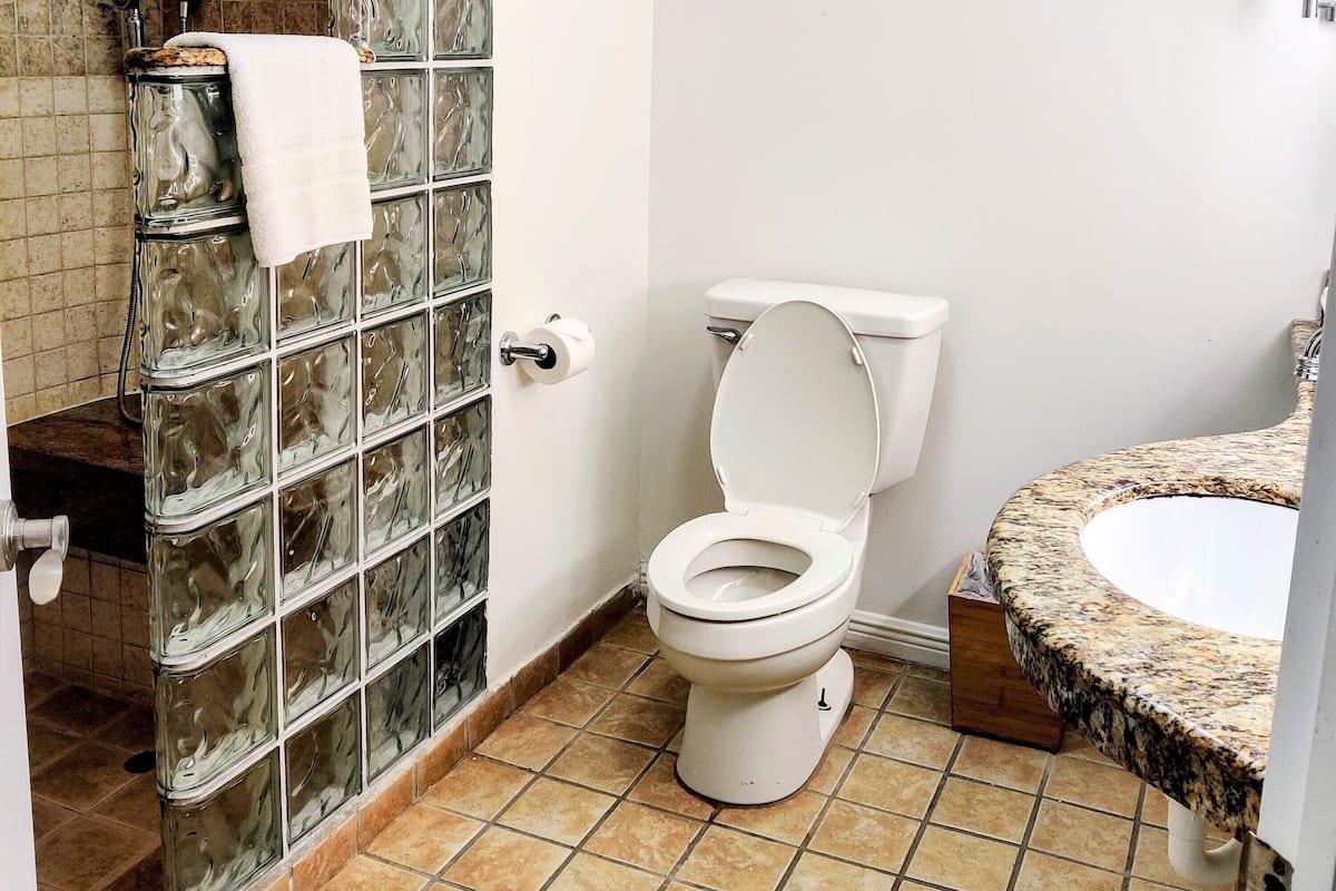 free toiletries, hair dryer, towels