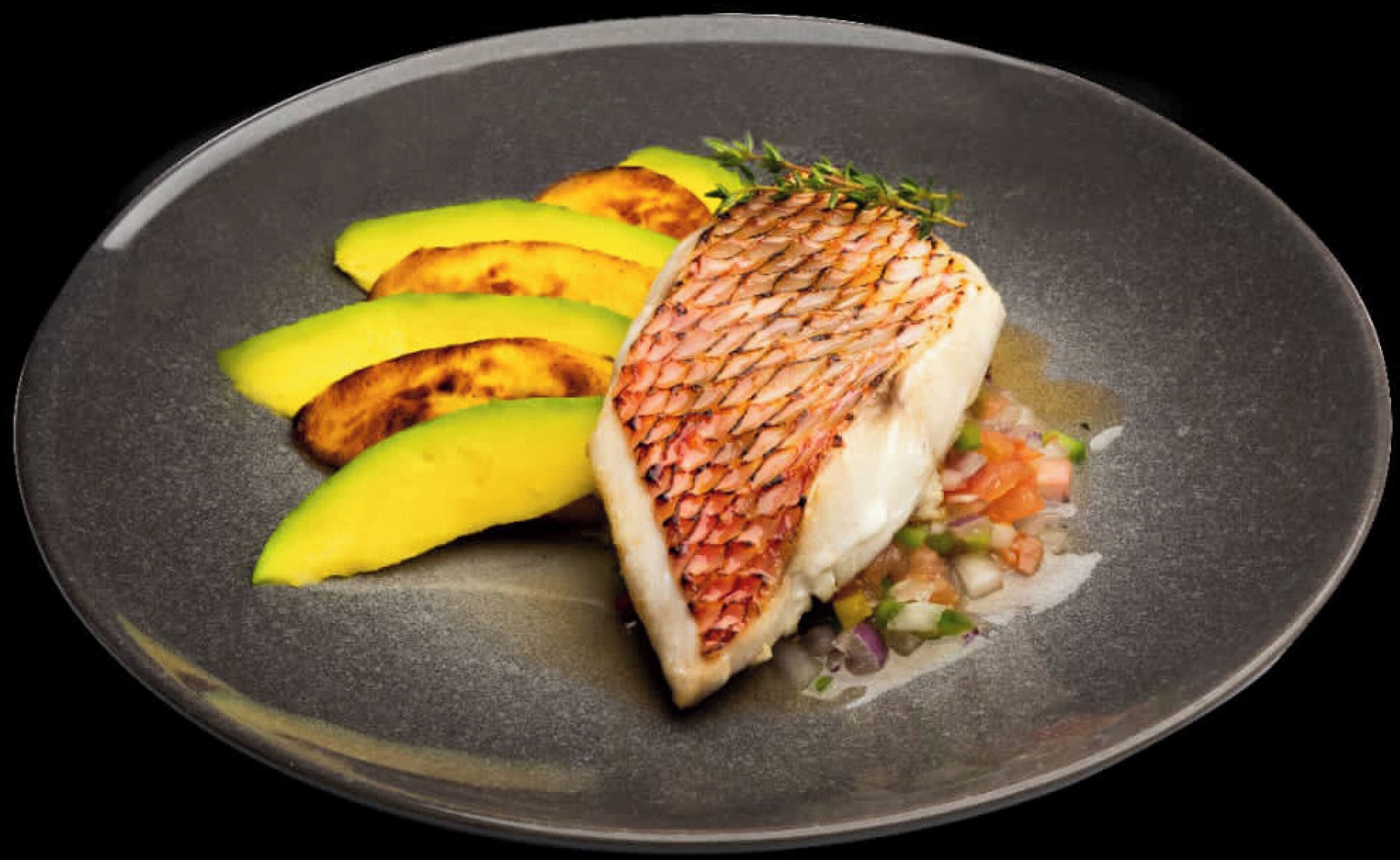 Un piatto con pesce alla griglia, fette di avocado e guarnizione.