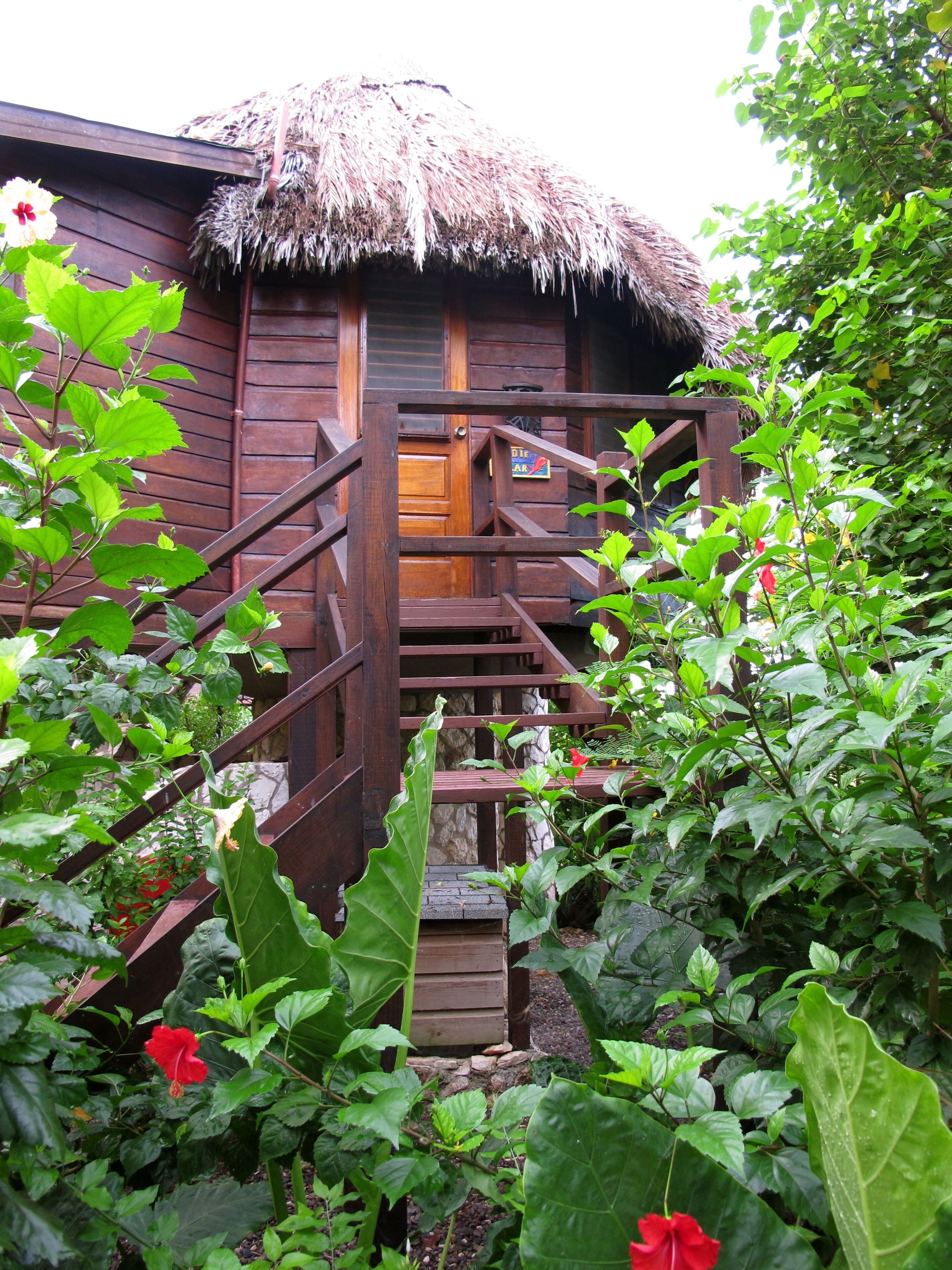 tree house | 1 bedroom, in-room safe, individually decorated, individually furnished