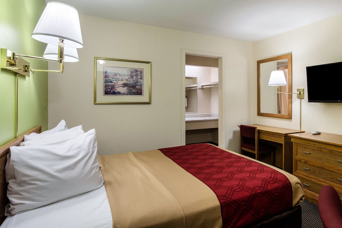 A hotel room with a bed, a desk, a chair, a television, a mirror, a wardrobe, and a framed picture on the wall.