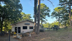Un petit bâtiment sur lequel est apposée une enseigne indiquant : « Chalet dans les pins ».
