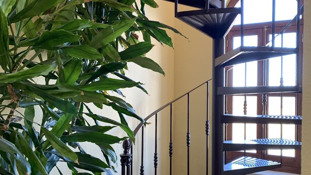 Eine Wendeltreppe mit Metallgeländer und einem Blumentopf daneben.