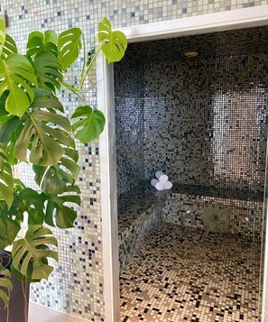 Sauna a vapor