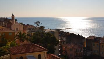 Beach/ocean view