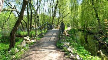 Un sendero de tierra que serpentea por una zona boscosa, con un pequeño puente sobre un arroyo.