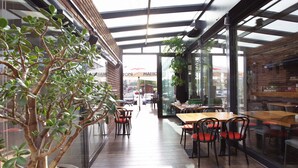 Un comedor interior con mesas y sillas de madera, una planta en maceta y un muro de vidrio.