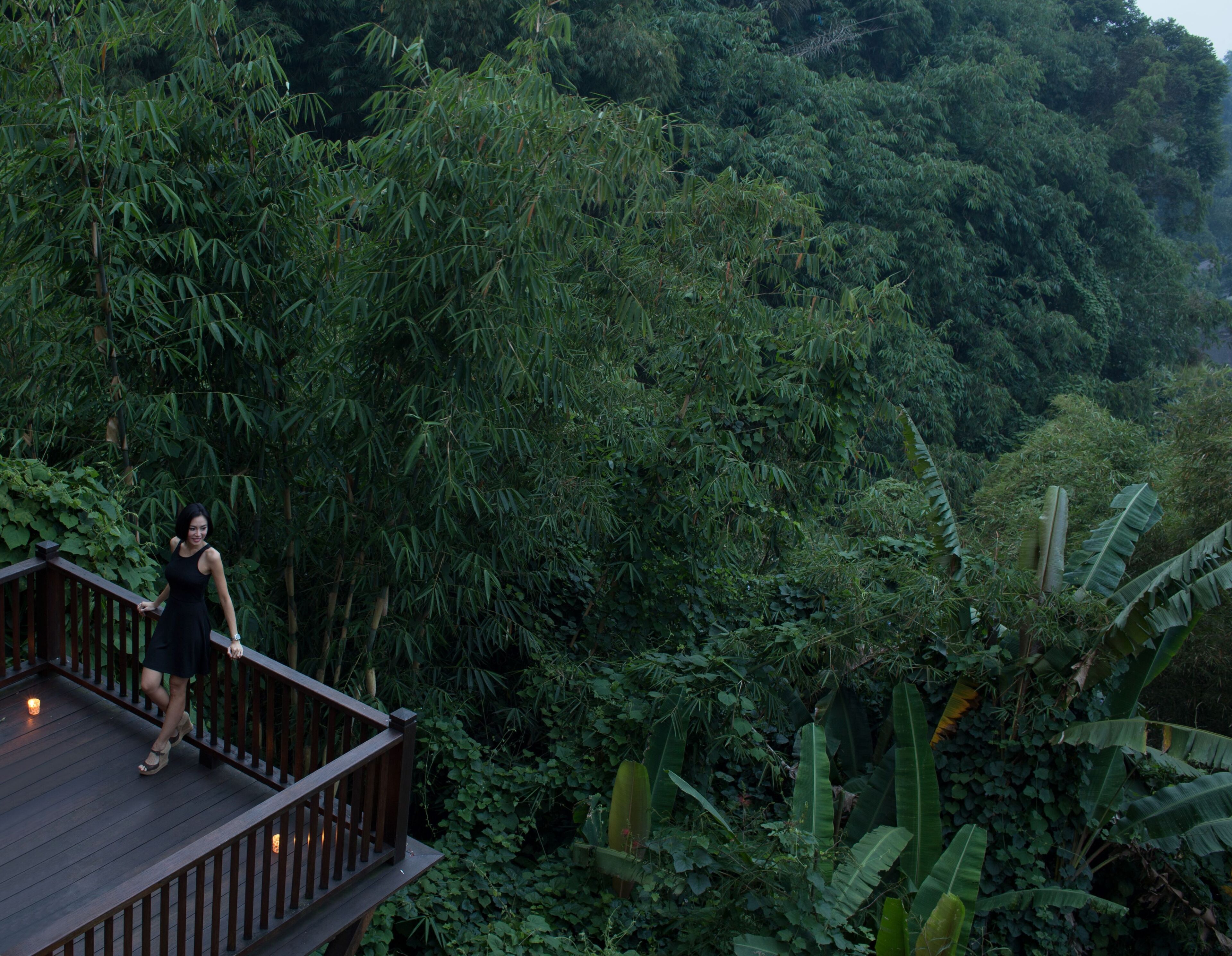 A woman on a wooden deck overlooking a lush, dense forest.