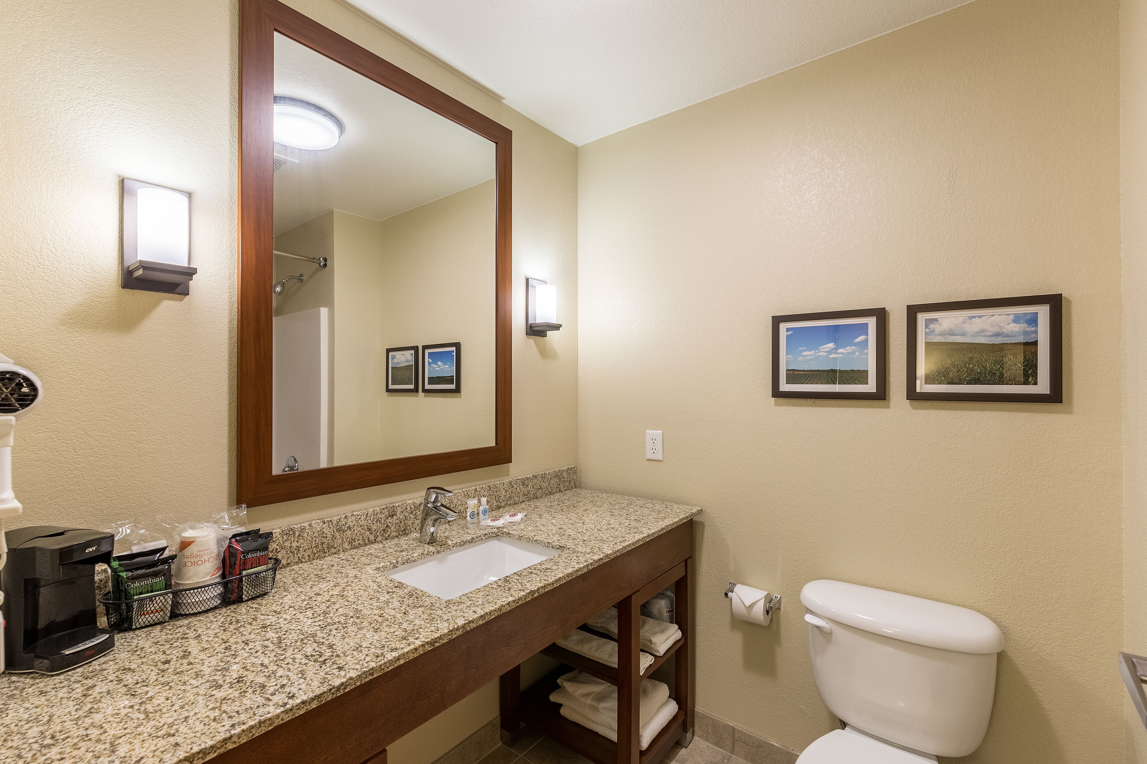 A bathroom with a granite countertop sink, a large mirror, two framed pictures on the wall, and a white toilet.