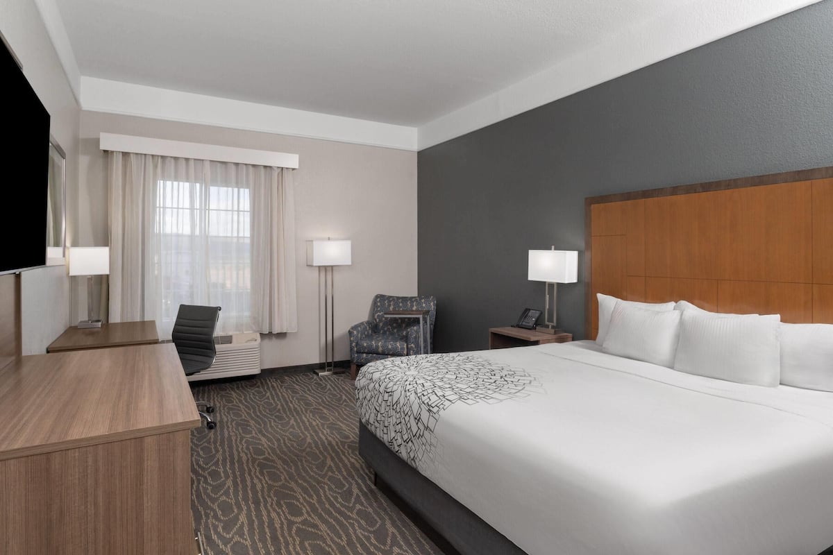 Room, 1 King Bed, Non Smoking