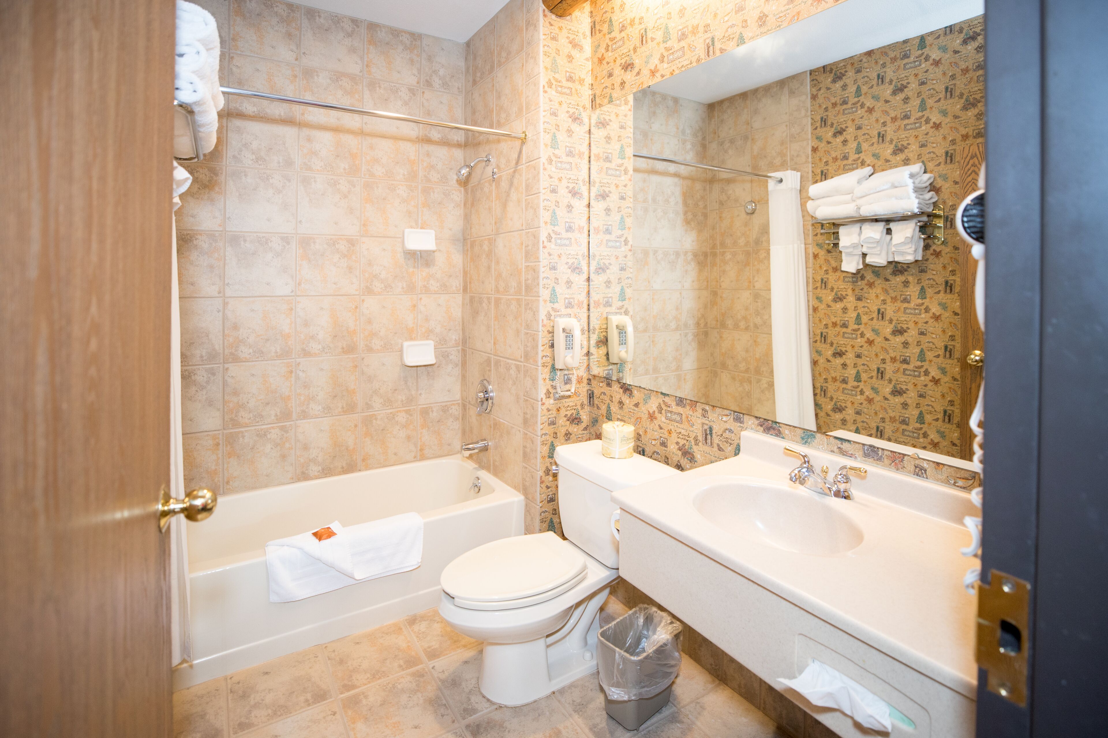 combined shower/bathtub, hair dryer, towels