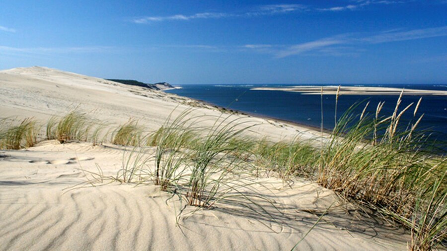 Holiday Inn Bordeaux Sud - Pessac by IHG