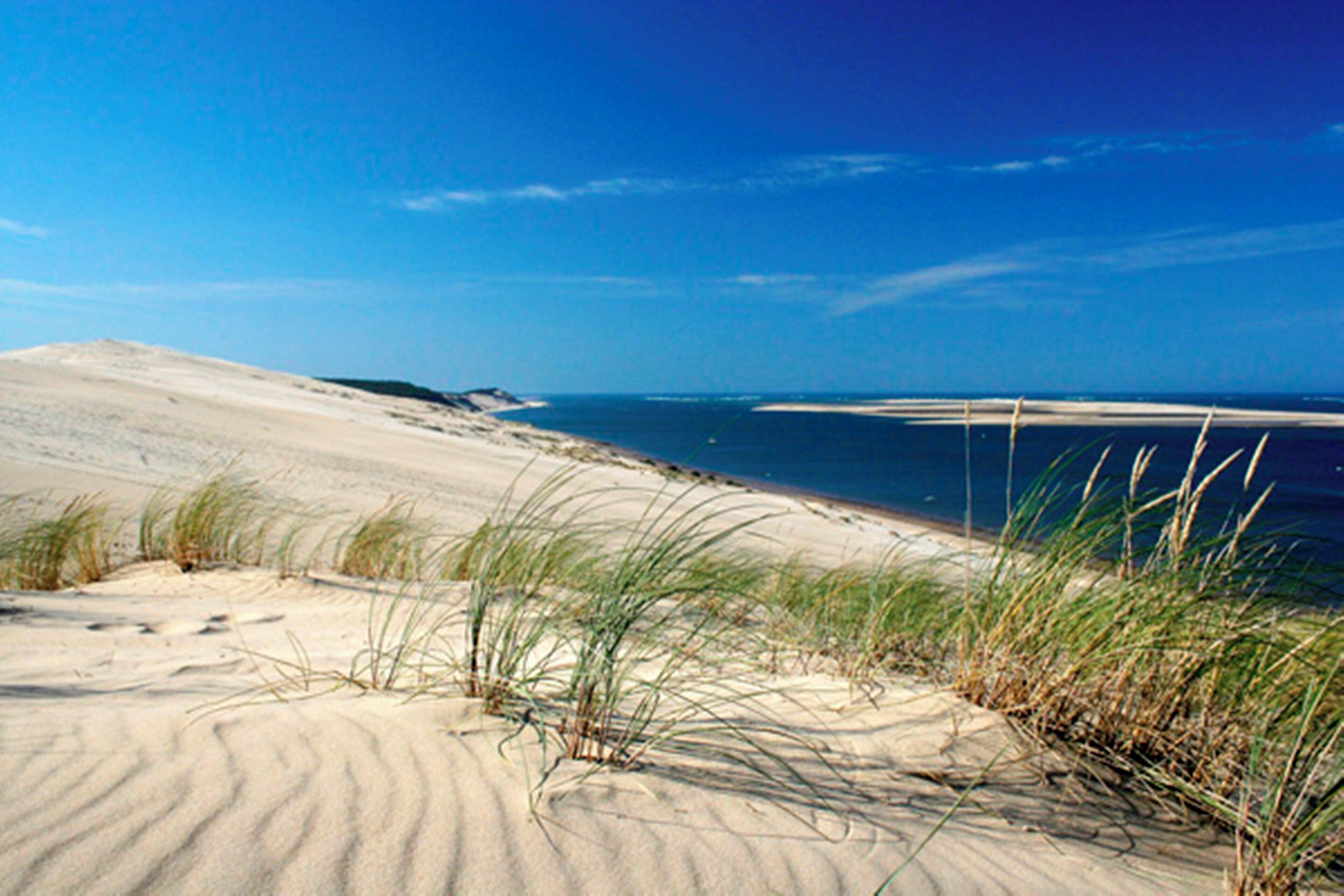 A beach with sand dunes and sparse vegetation.