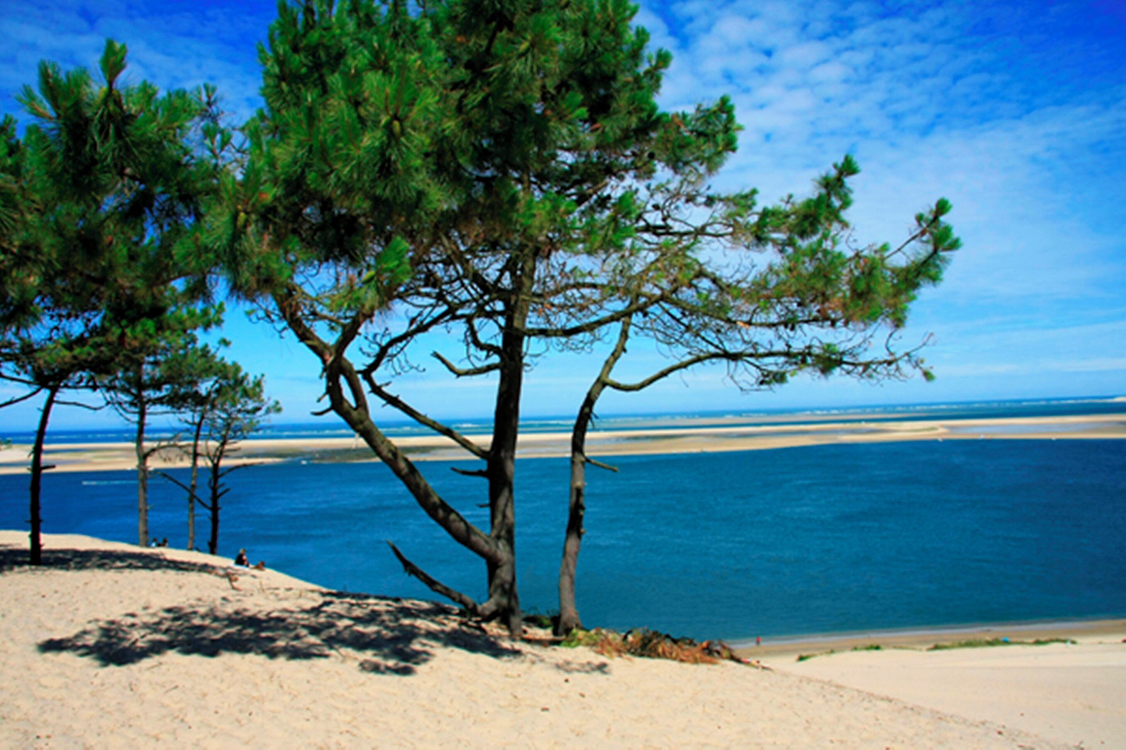 Foto - Holiday Inn Bordeaux Sud   Pessac By Ihg
