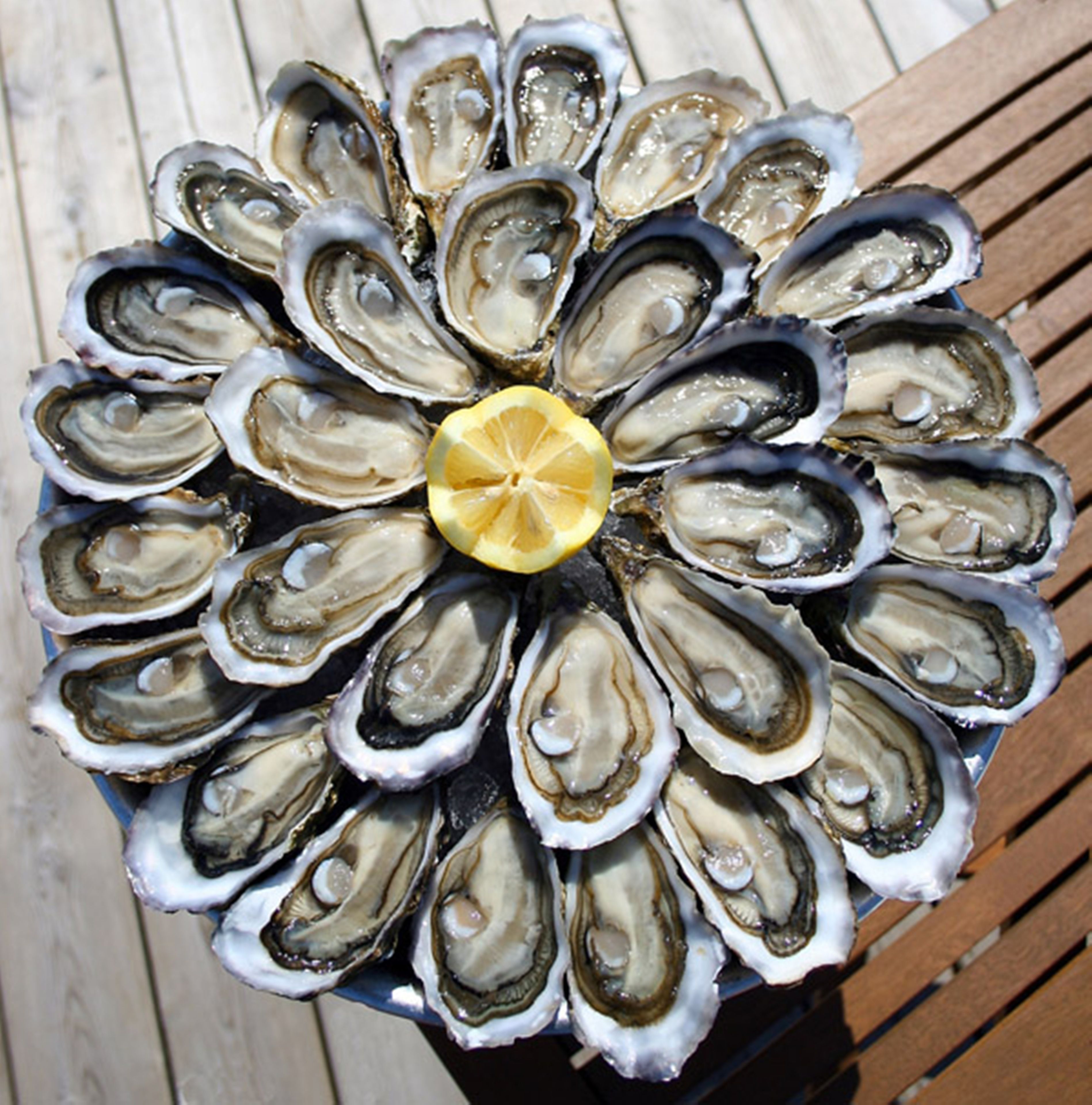 Photo - Holiday Inn Bordeaux Sud - Pessac by IHG