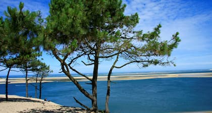 Holiday Inn Bordeaux Sud - Pessac by IHG