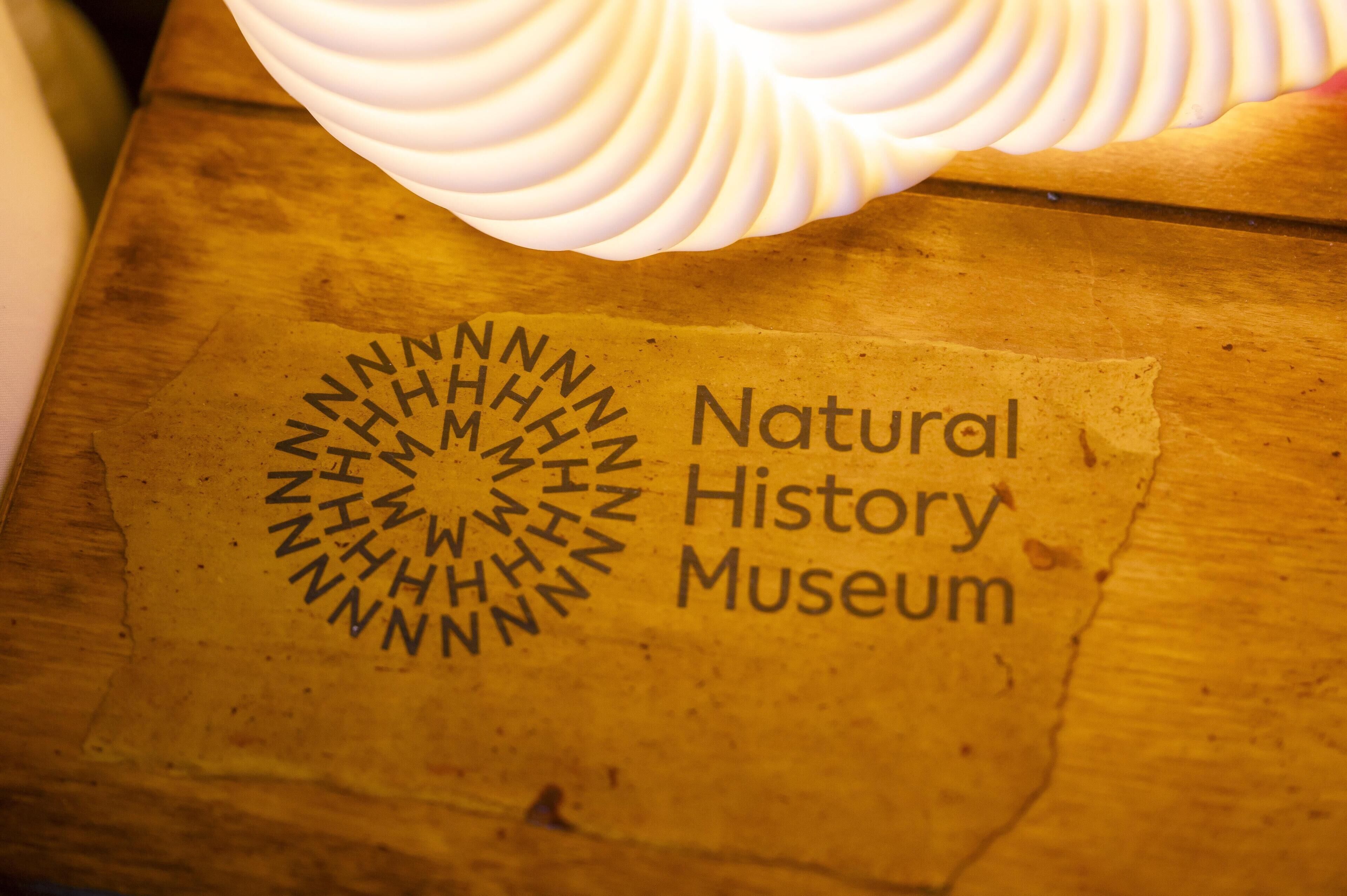 A wooden surface with the text 'Natural History Museum' and a circular emblem.