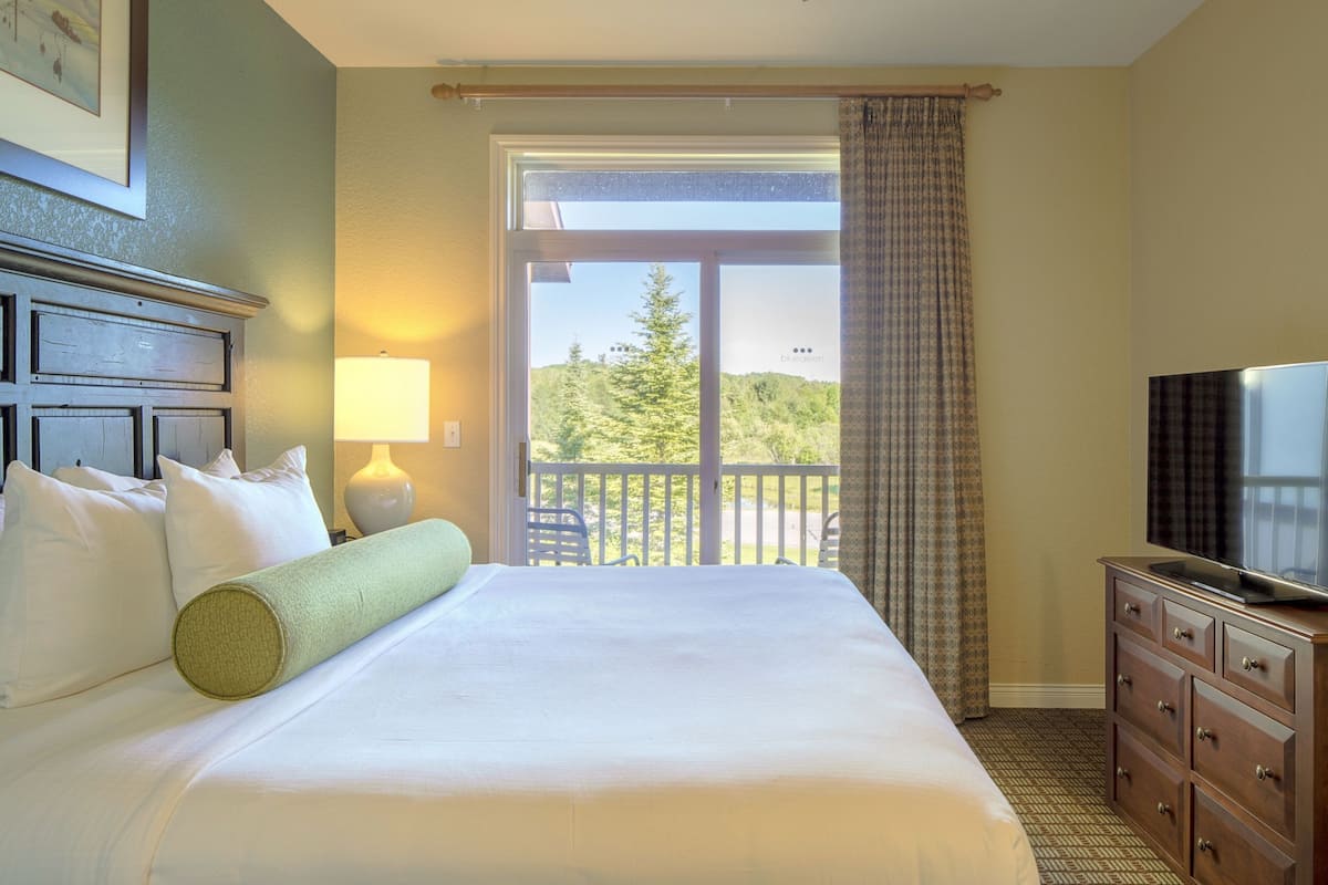 A hotel room with a large bed, a television, a lamp, and a view of the outdoors.