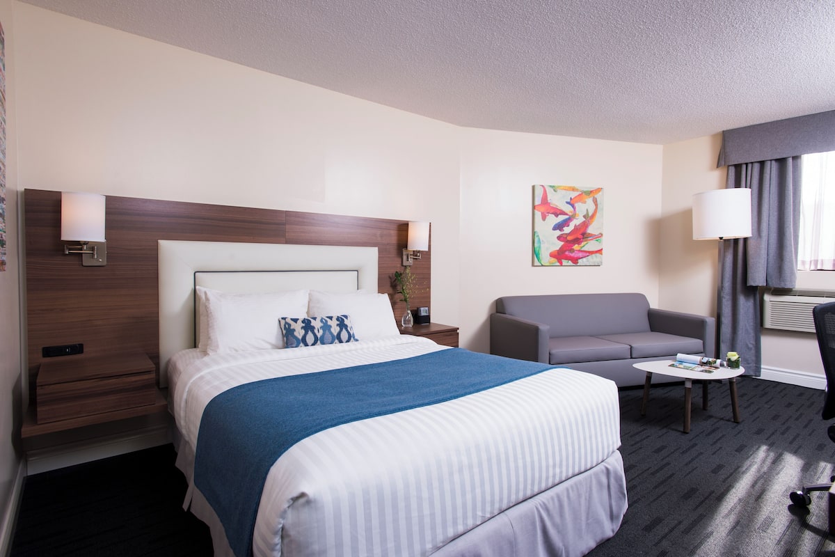 Chambre, 1 grand lit