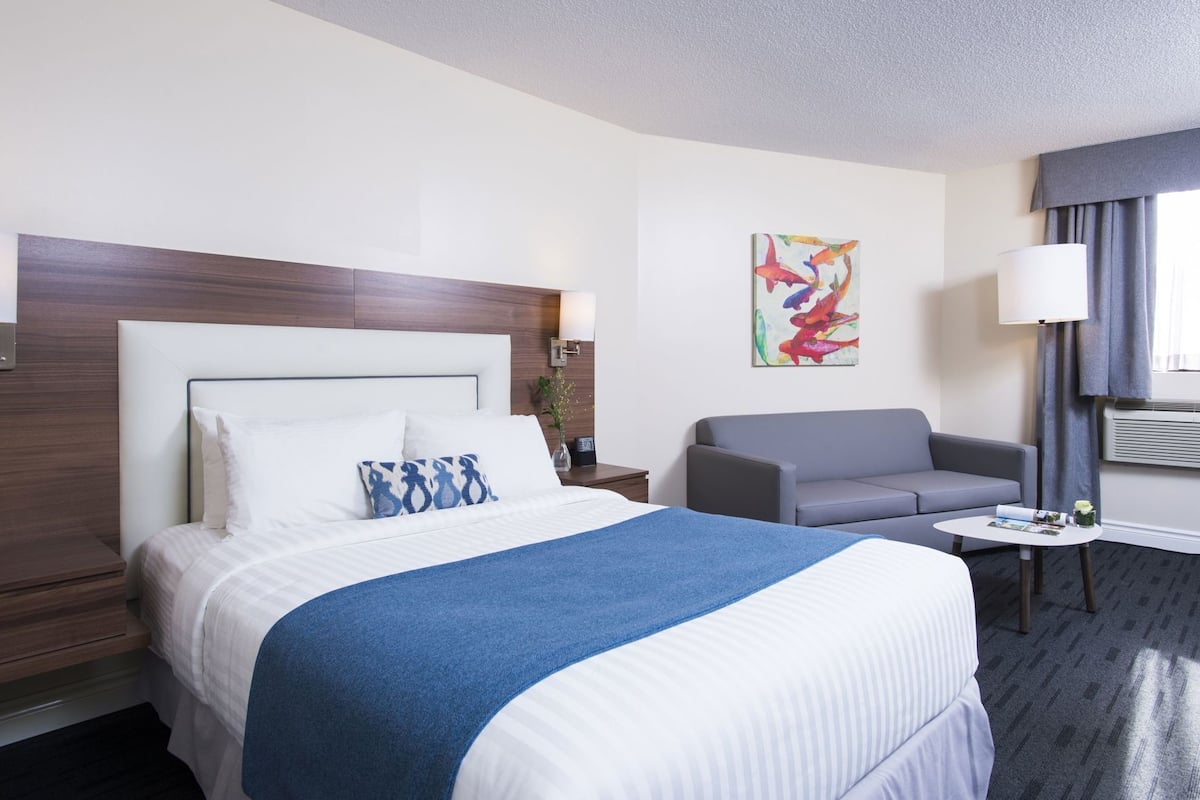 Desk, blackout curtains, soundproofing, iron/ironing board