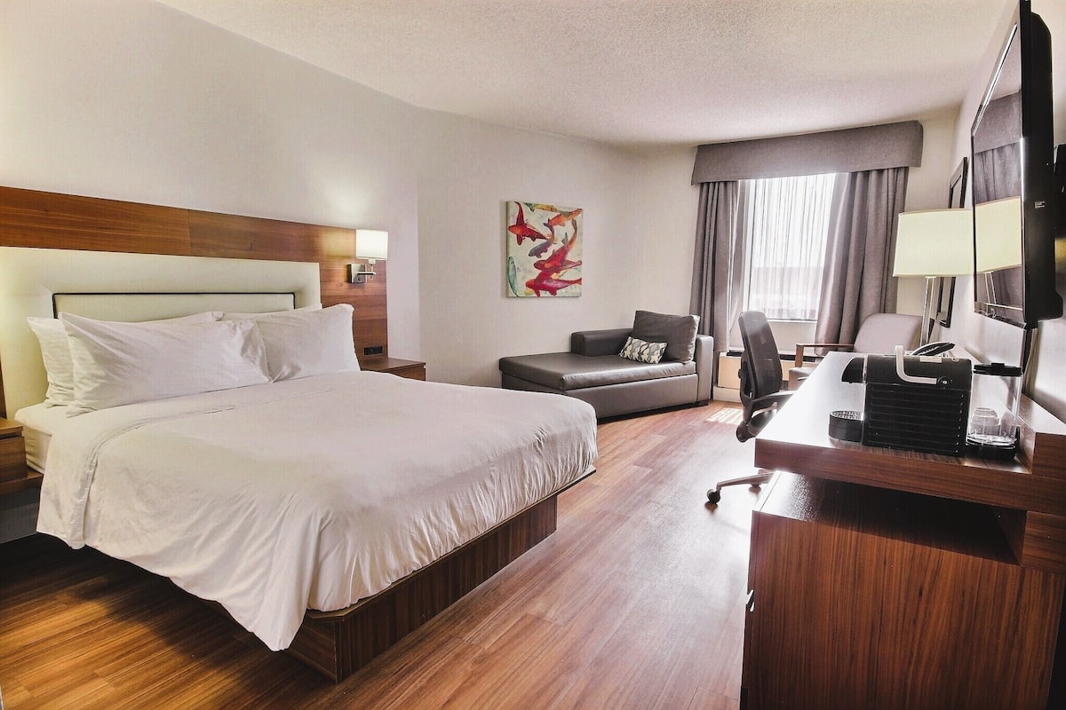 Habitación de hotel con una cama grande, un escritorio con computadora, una silla, un sofá y un televisor.
