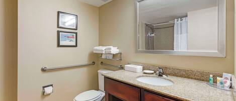 A bathroom with a toilet, sink, and mirror. There are handrails, a towel rack, and a toilet paper holder.