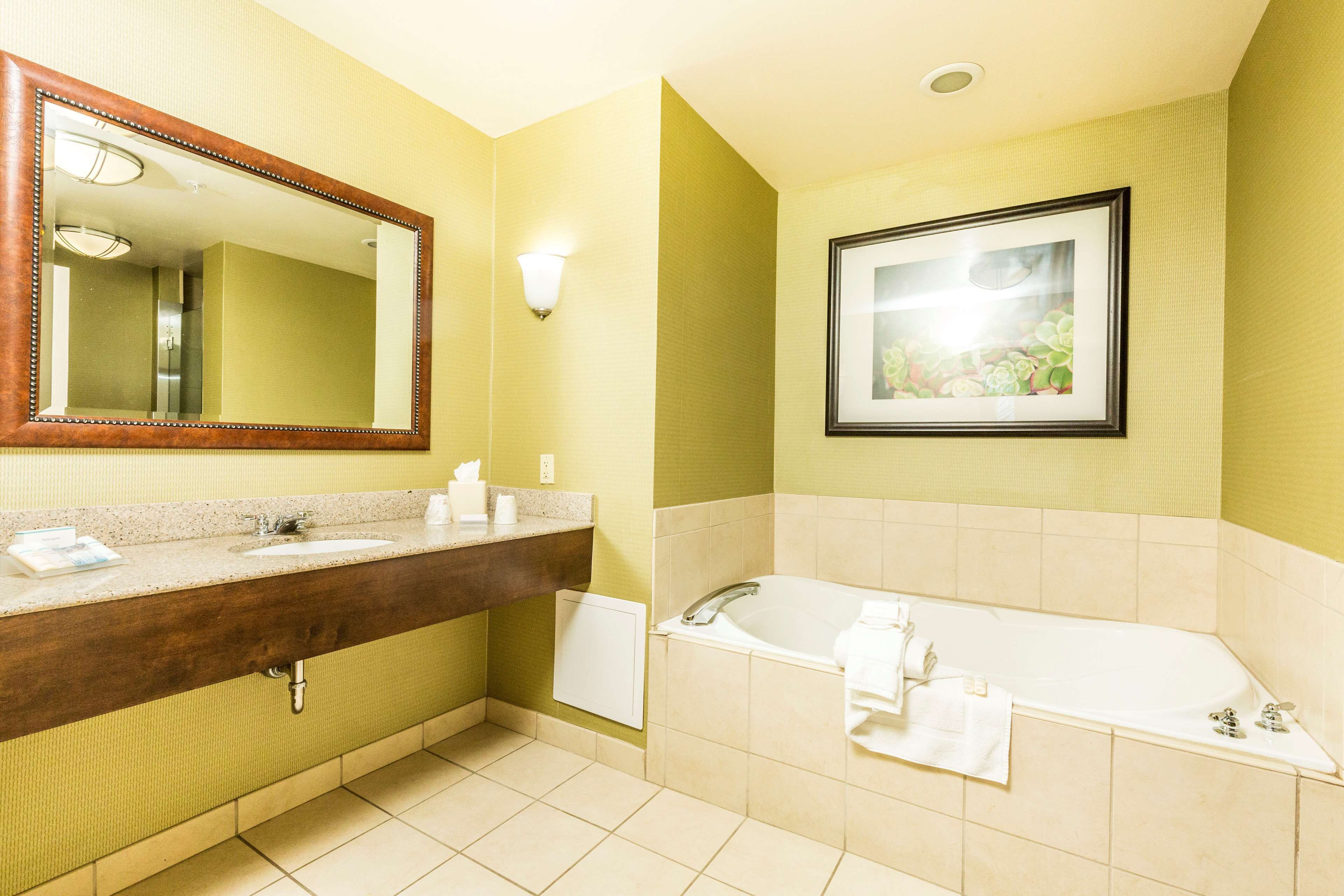 suite, accessible | bathroom | combined shower/bathtub, free toiletries, hair dryer, towels