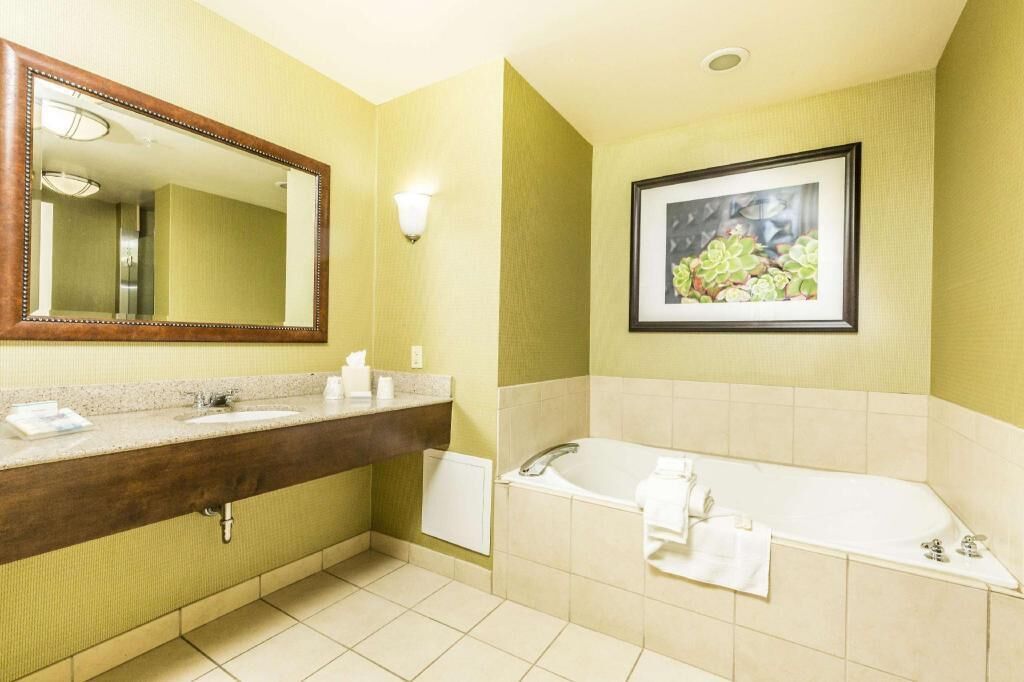 Bathroom | Combined shower/tub, free toiletries, hair dryer, towels