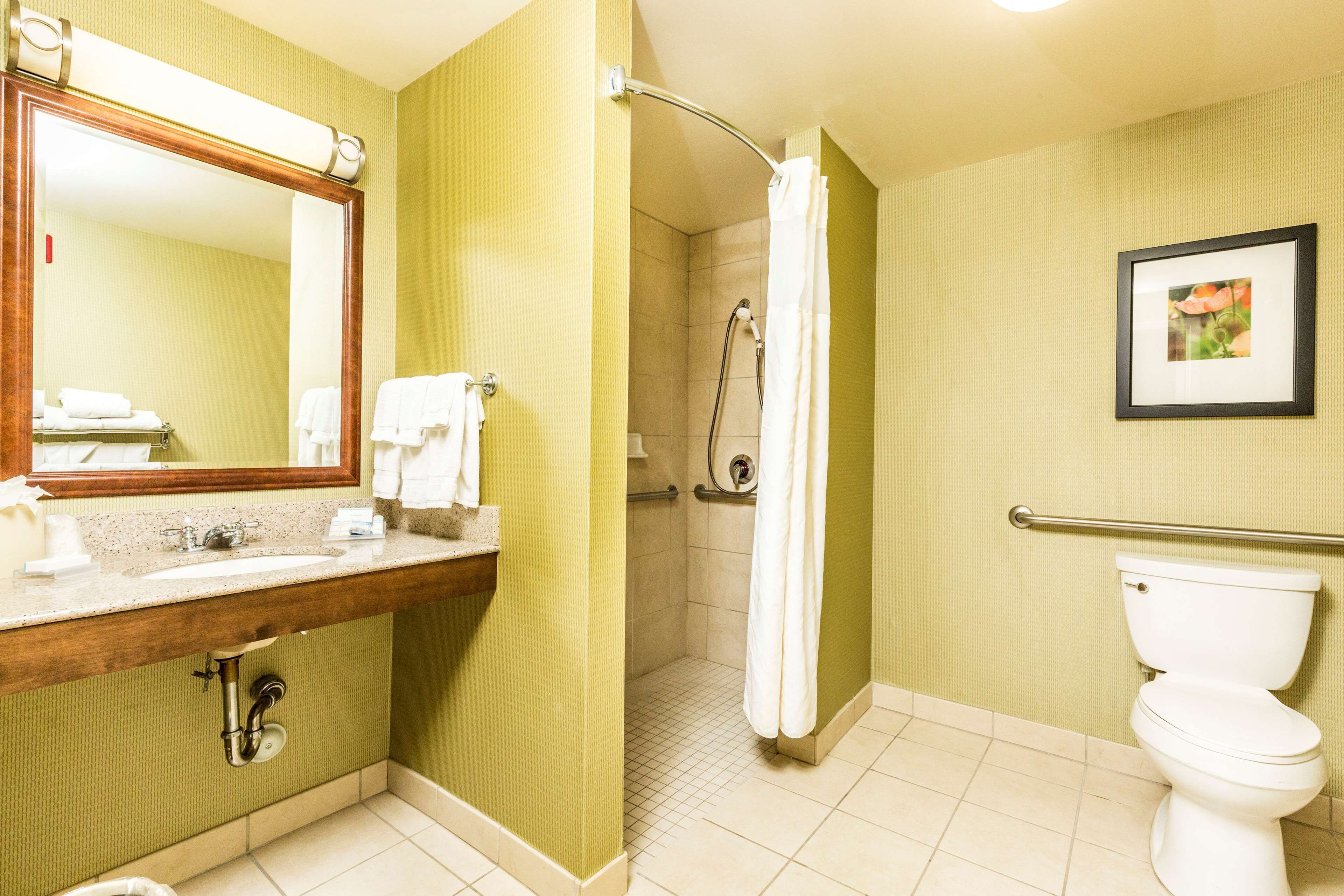 A bathroom with a sink, mirror, shower, and toilet.