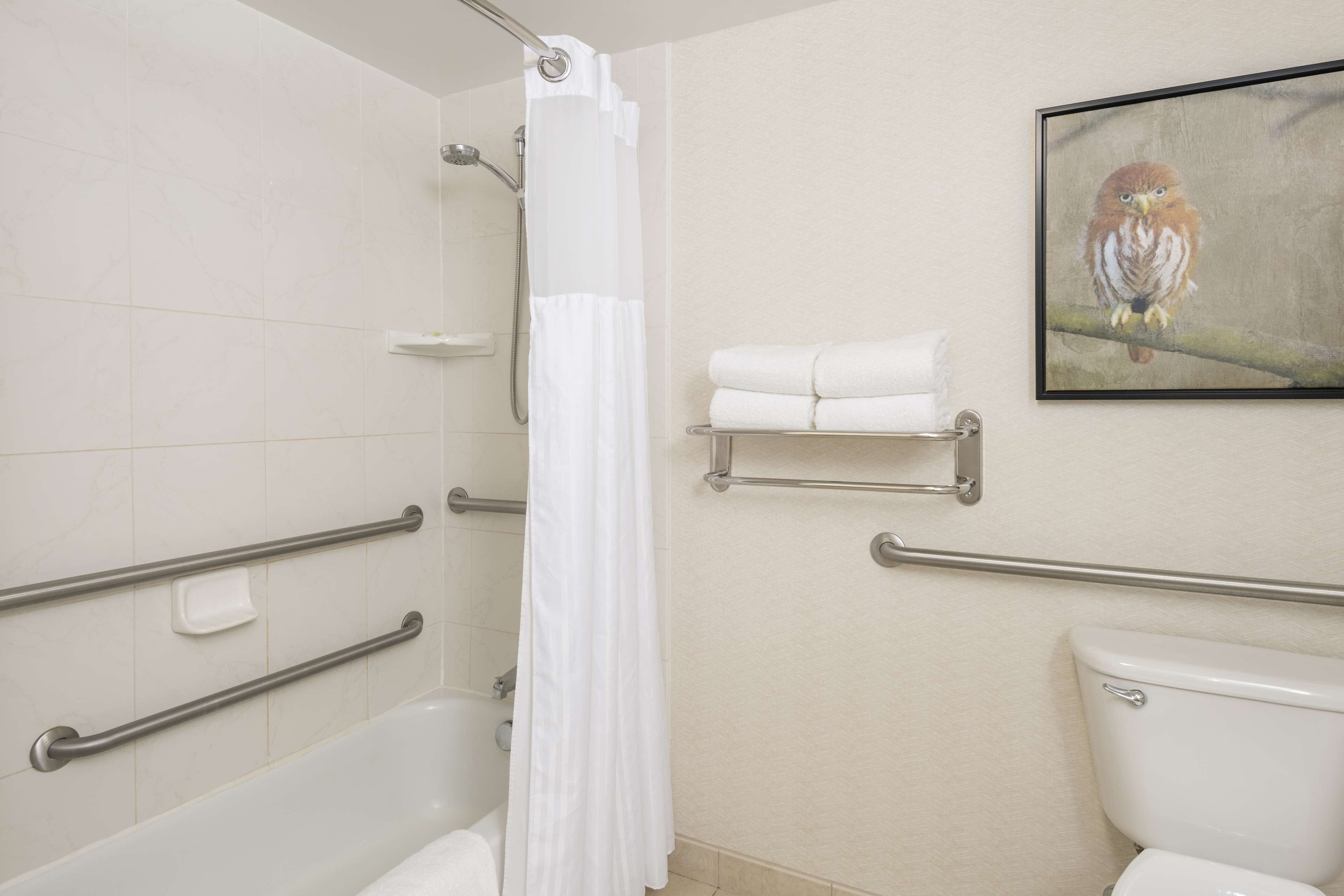 Een badkamer met een bad, toilet, handgrepen, een douchegordijn en een handdoekhouder.