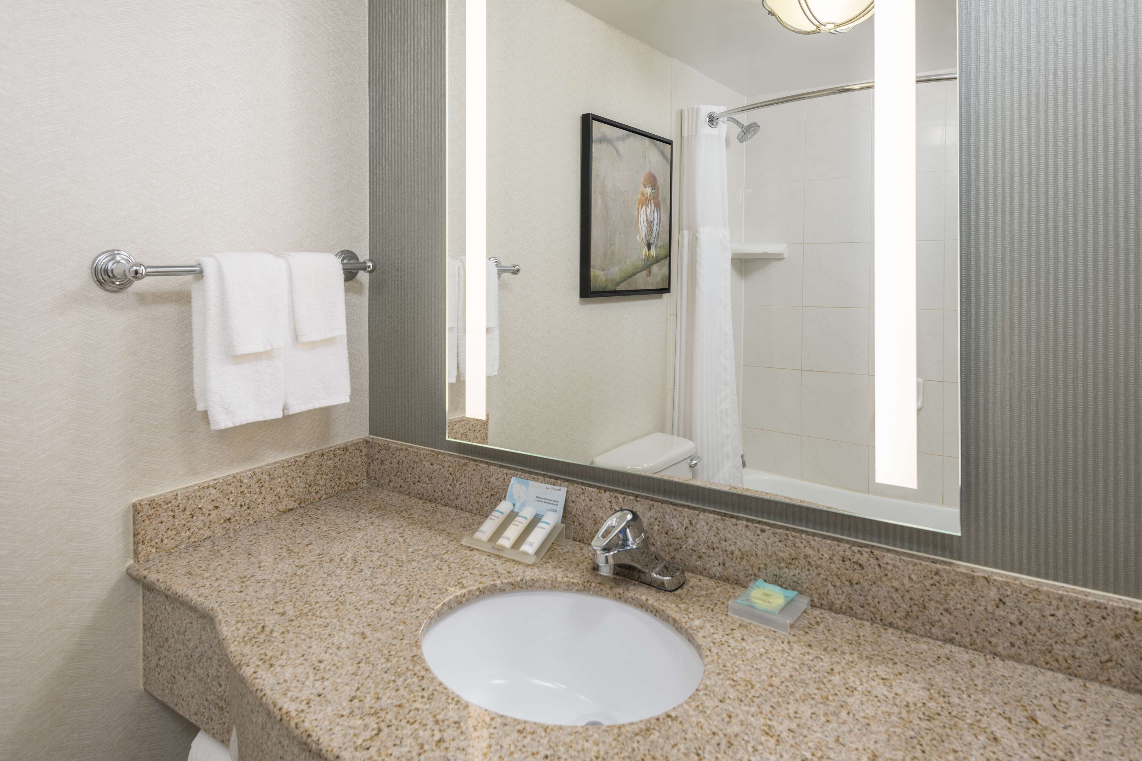 Foto - Hilton Garden Inn Scottsdale North/Perimeter Center