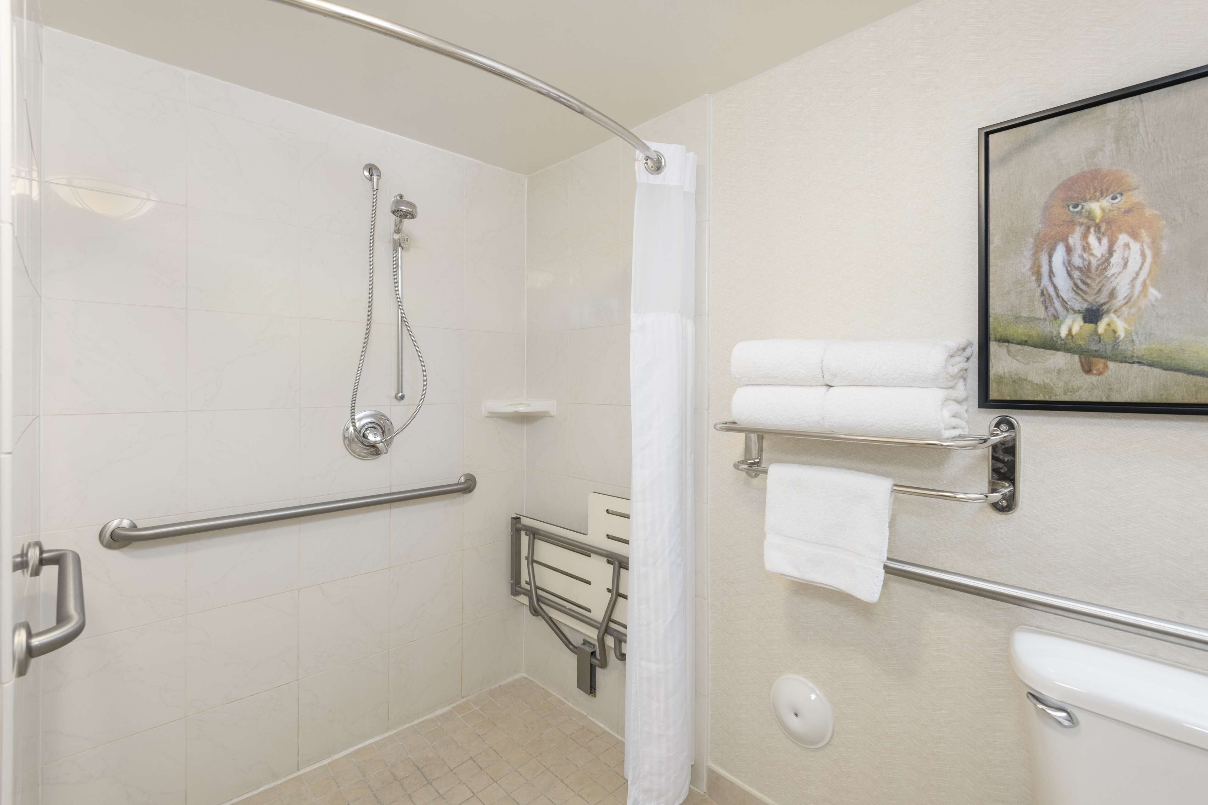 room, 1 king bed, accessible | bathroom shower