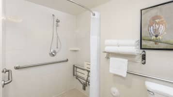 Une salle de bain équipée d’une douche, de barres d’appui, de toilettes et d’un porte-serviettes.