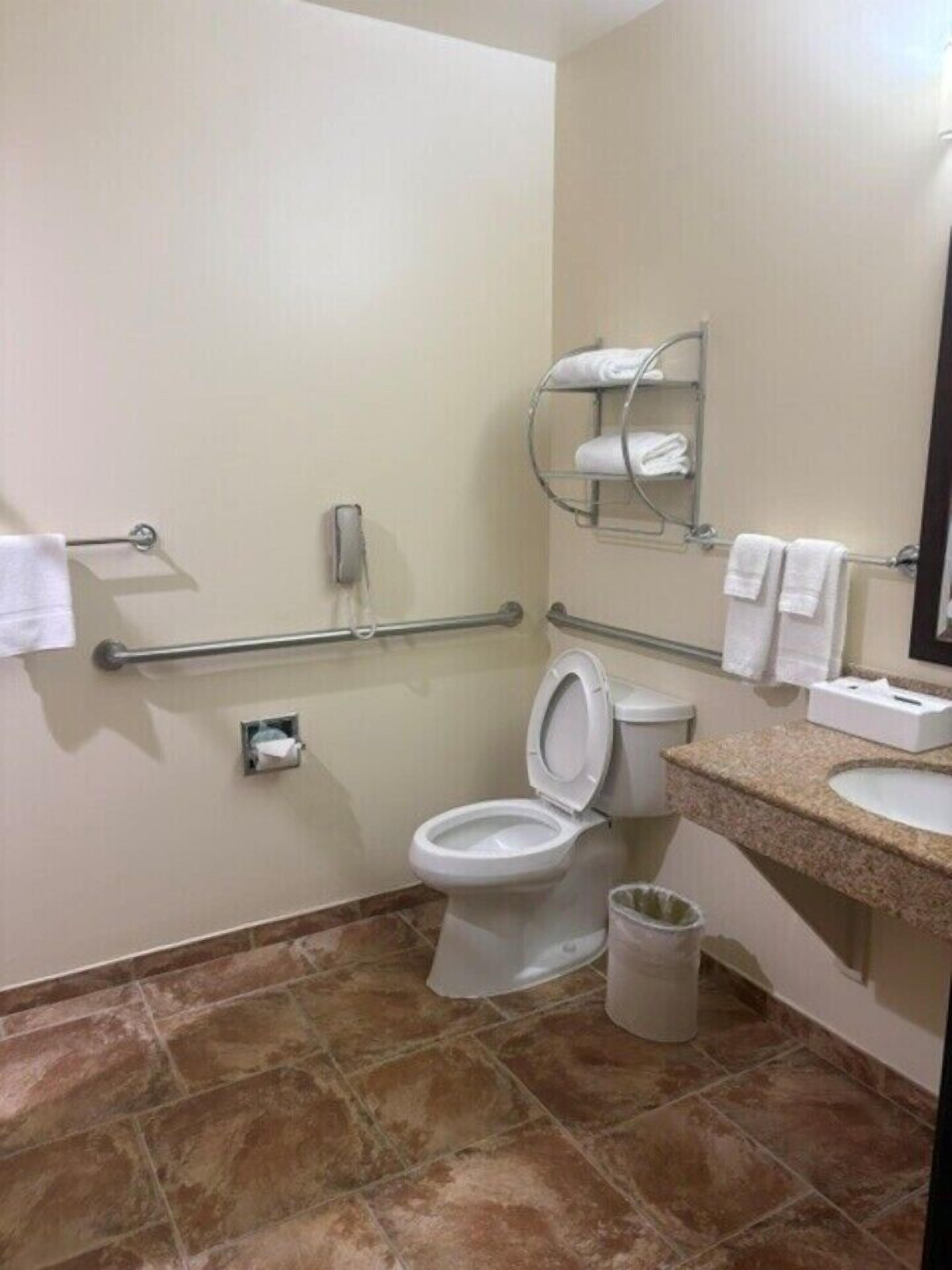 Une salle de bain équipée de toilettes, de barres d’appui, d’un lavabo, d’une poubelle et d’un miroir.