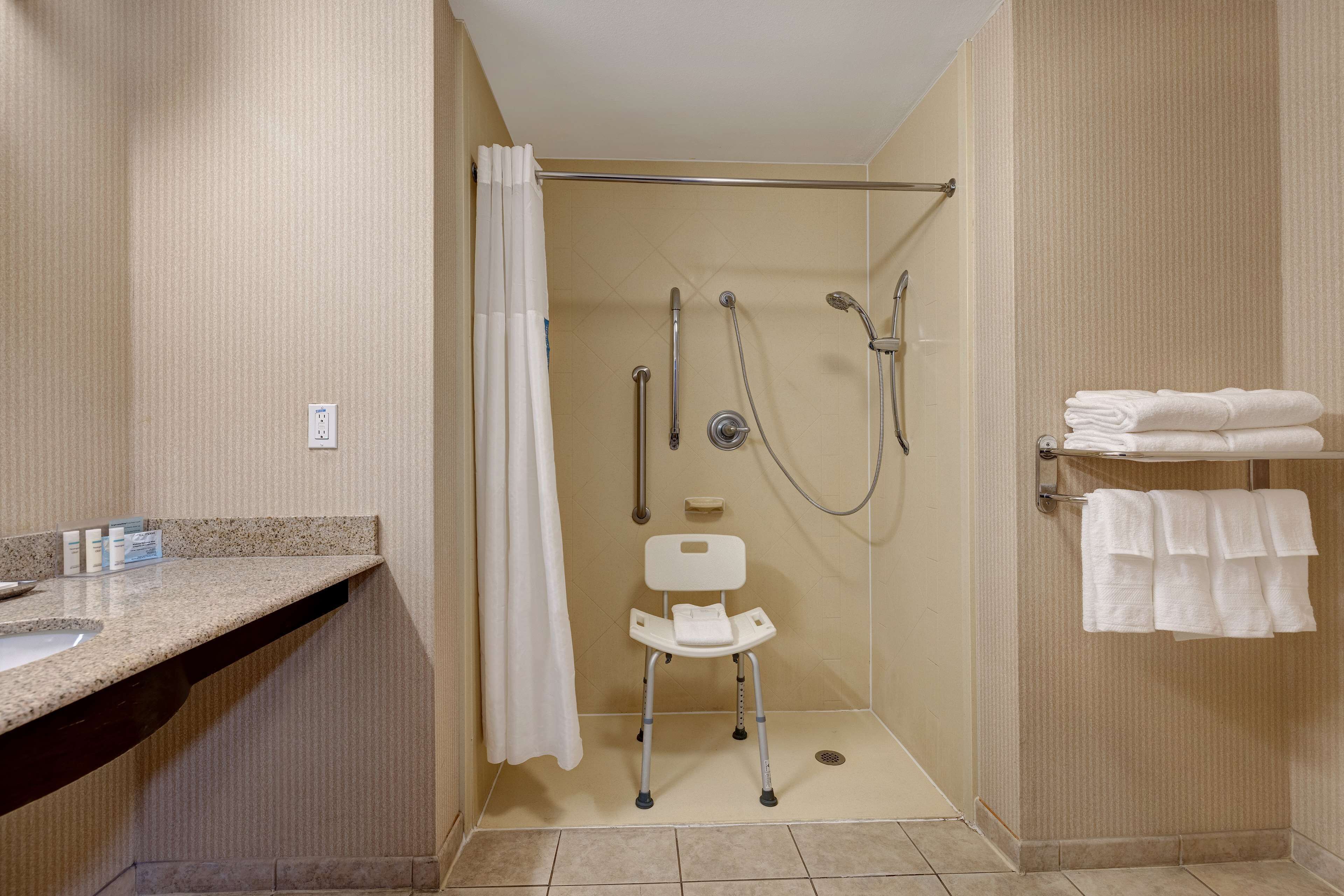 room, accessible, non smoking | bathroom shower