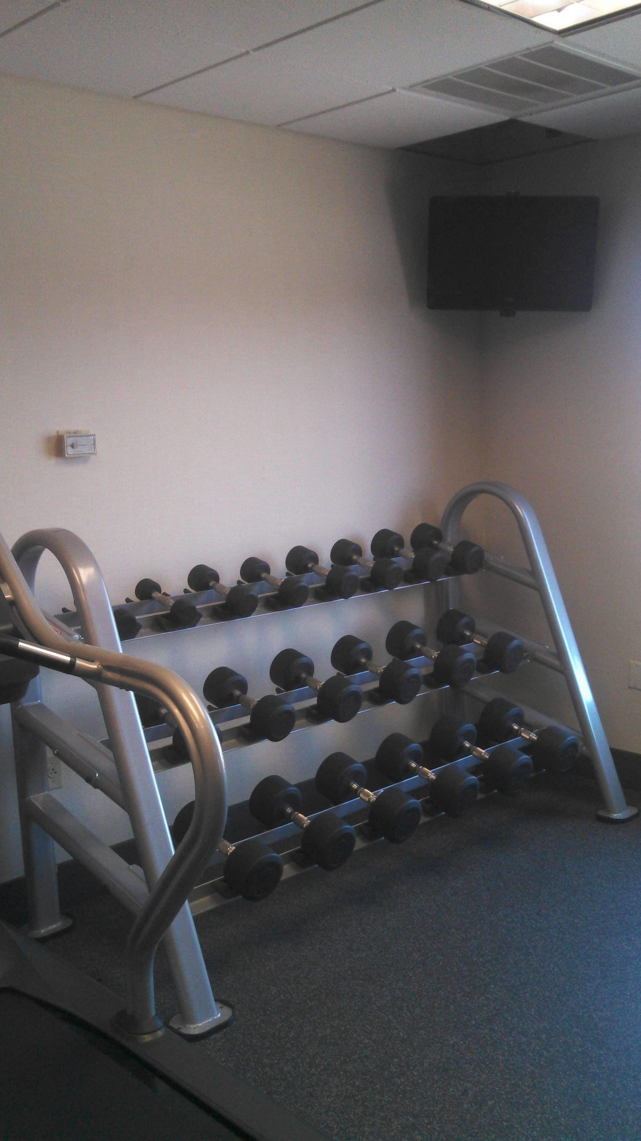 A gym with a rack of dumbbells and a treadmill.