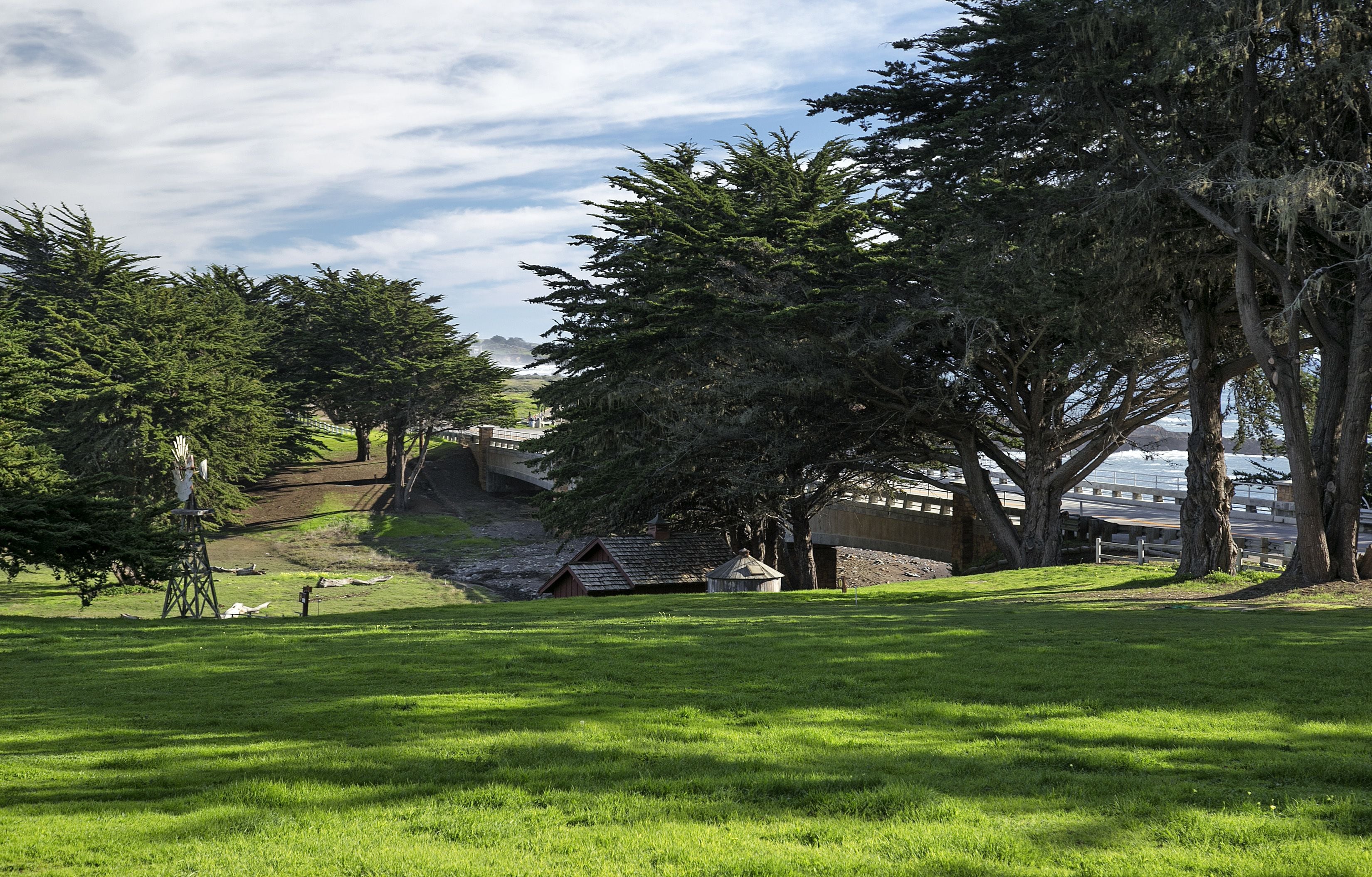 A grassy park area with trees and a small building.