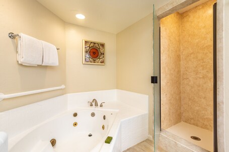 Scottsdale Camelback Resort - Image 61