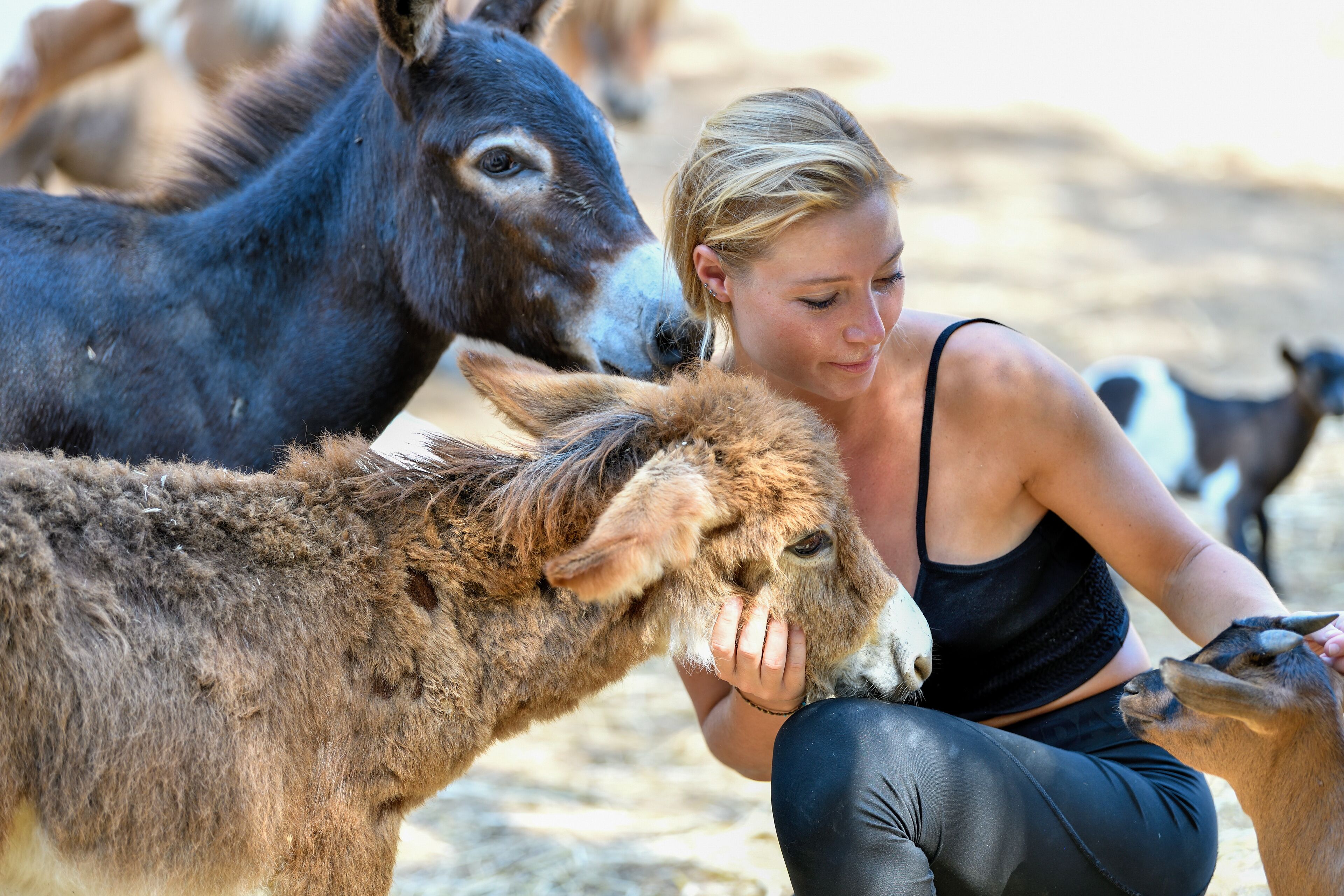 Foto - Hotel Monte Turri - Adults Only