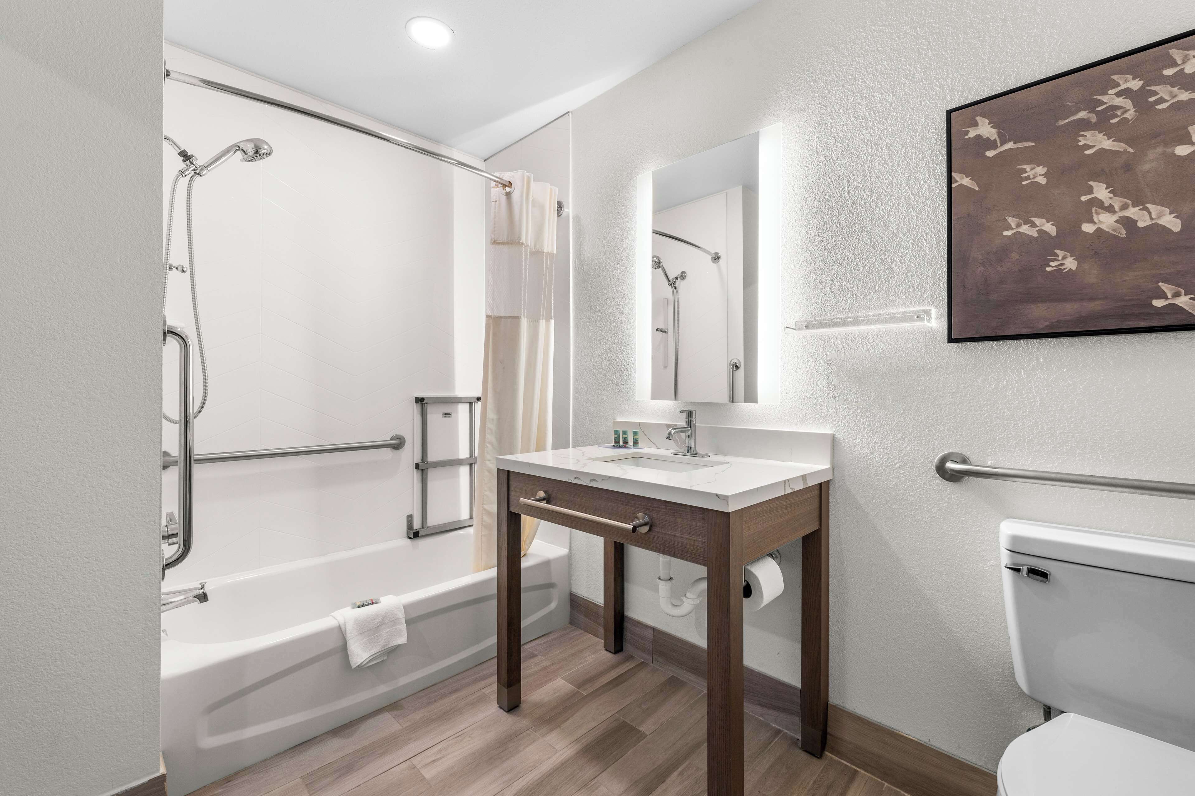 A modern bathroom with a bathtub, shower, vanity, and toilet.