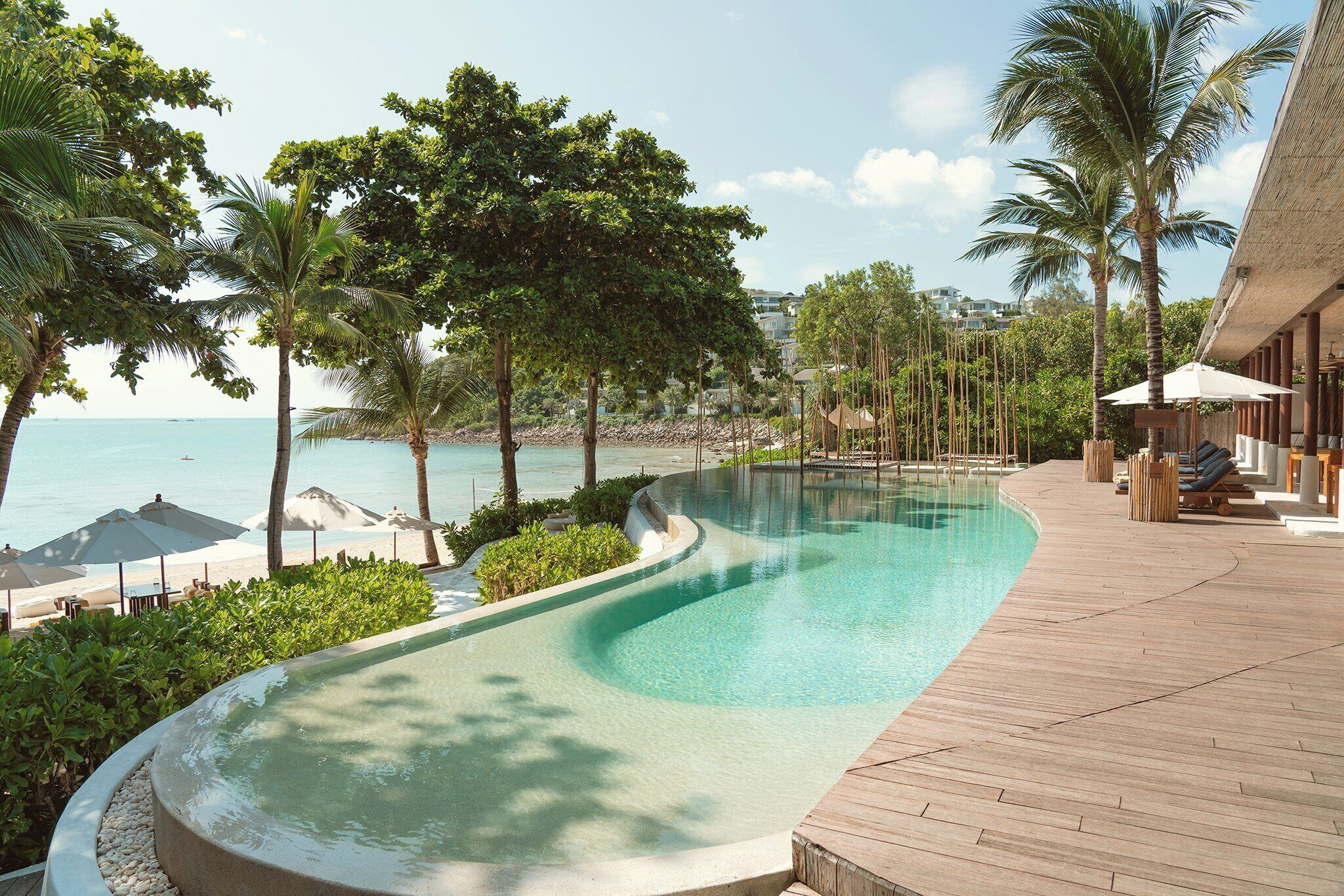 A curved infinity pool with a wooden deck, surrounded by palm trees and beach umbrellas, overlooking the ocean.