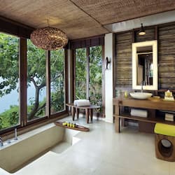 Separate tub and shower, deep soaking tub, rainfall showerhead